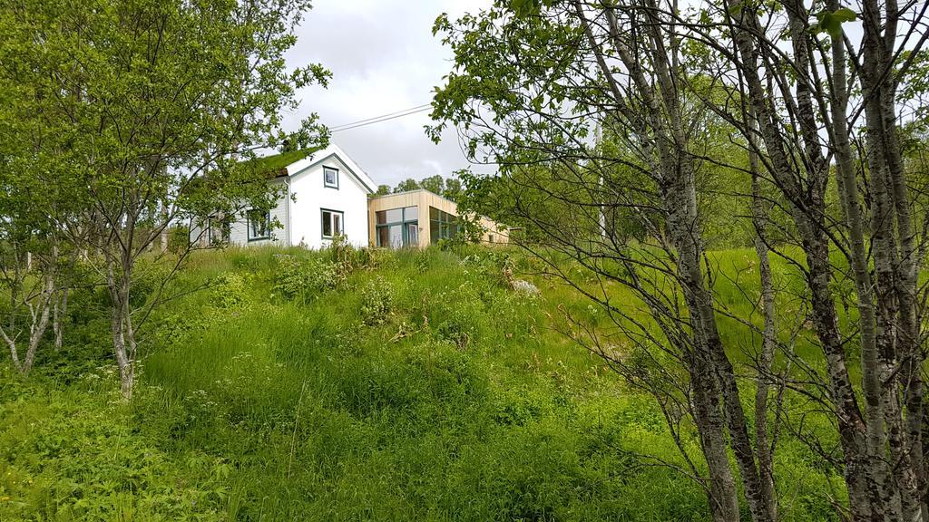 Svensby Gamtunet Lyngen מראה חיצוני תמונה